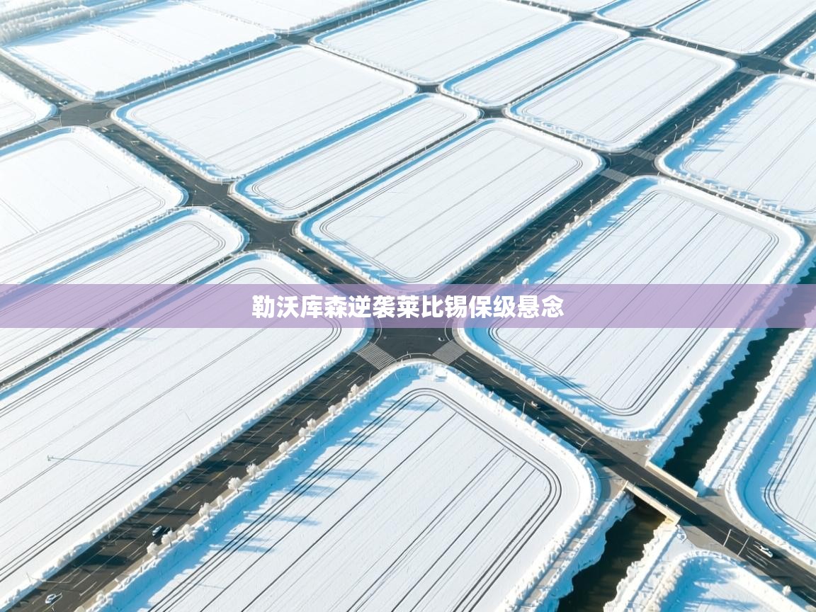 开云体育下载-勒沃库森逆袭莱比锡保级悬念  第1张