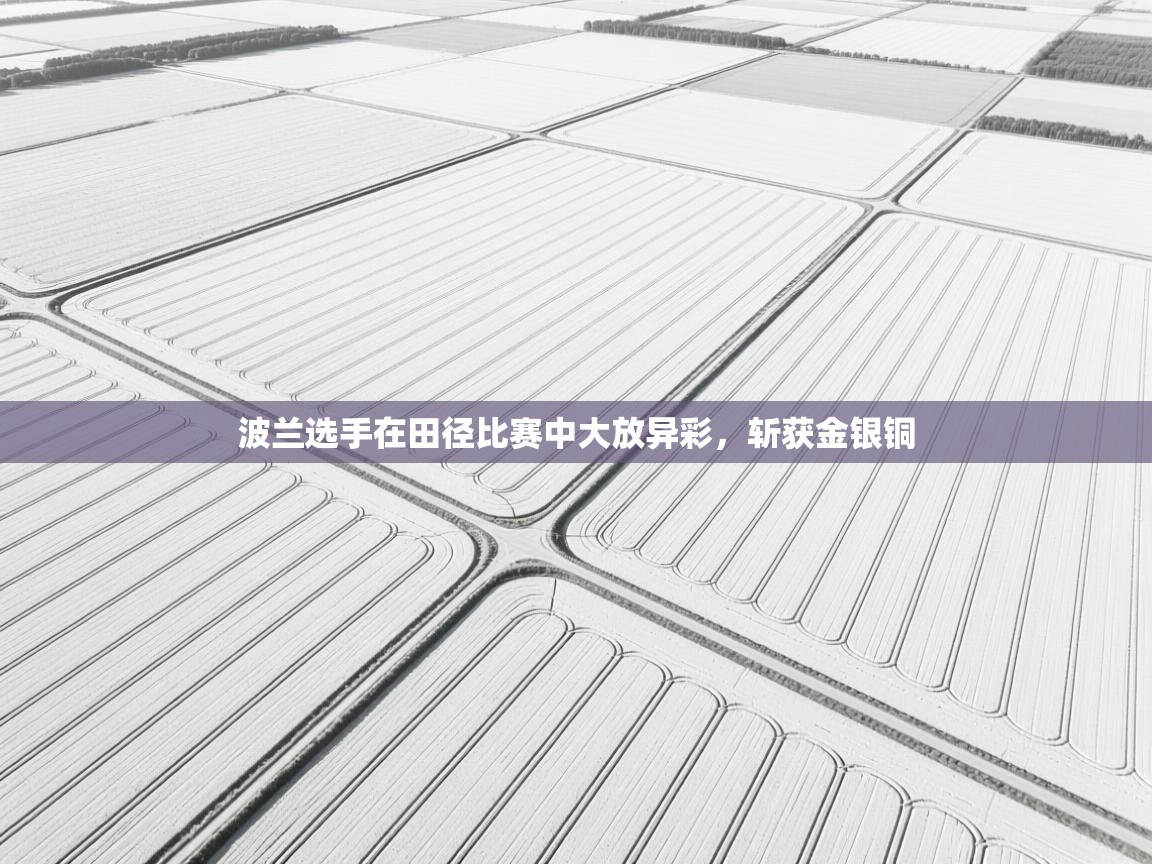 开云体育账号申诉通道-波兰选手在田径比赛中大放异彩,斩获金银铜 第2张