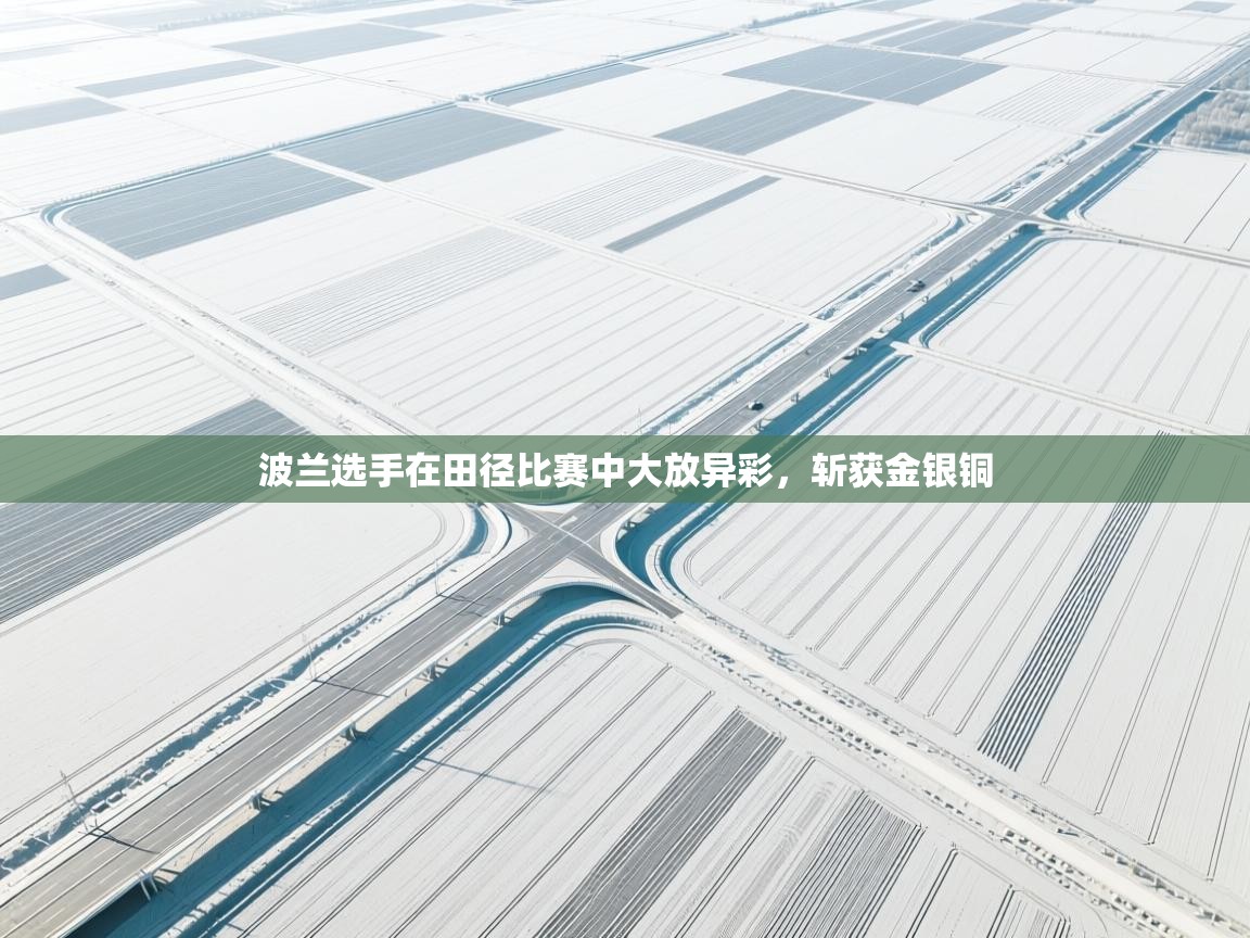 开云体育账号申诉通道-波兰选手在田径比赛中大放异彩,斩获金银铜 第4张